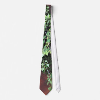 Branch Across A Crimson Sky Tie