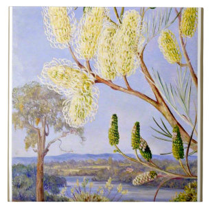 Branch of a Grevillea and View on the Swan River Tile