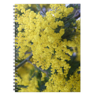 Branch of mimosa notebook