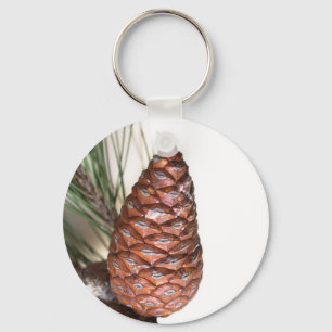 Branch of pine with the pinecone key ring