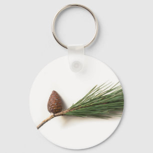 Branch of pine with the pinecone key ring