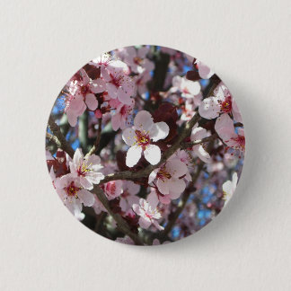 Branch of Pink Blossoms Spring Floral 6 Cm Round Badge