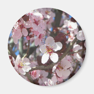 Branch of Pink Blossoms Spring Floral Magnet