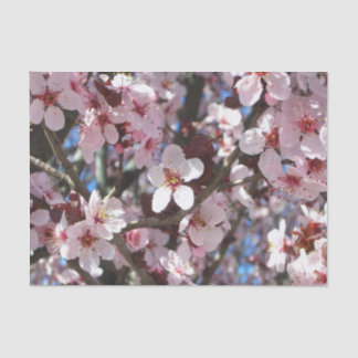 Branch of Pink Blossoms Spring Floral Tissue Paper