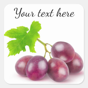 Branch of red grapes square sticker