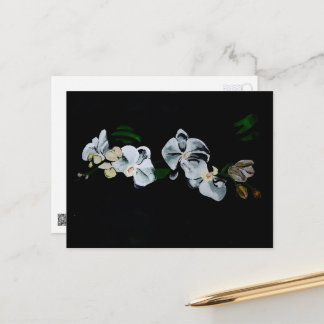 Branch of White Orchids Postcard