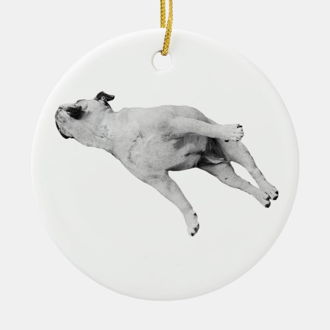 Branch-Side Dream Ceramic Tree Decoration (Front)