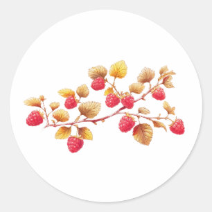 Branch with Red Raspberry Fruit Classic Round Sticker