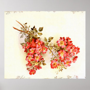 Branch with rose flowers custom poster