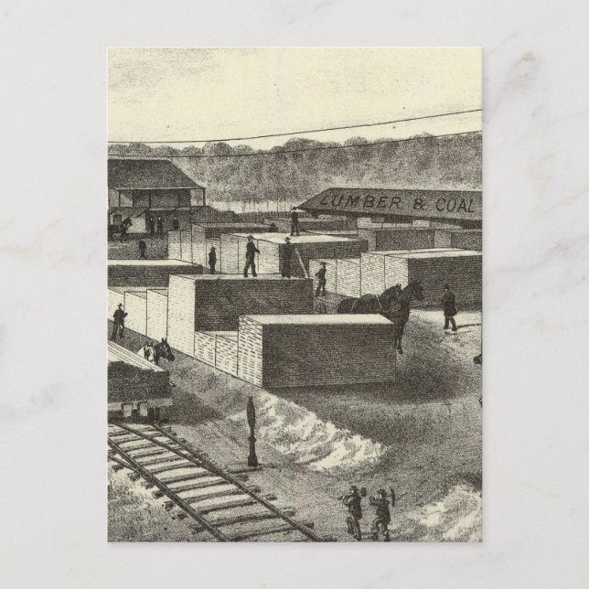 Branch yard, Princeton Lumber & Improvement Co Postcard (Front)