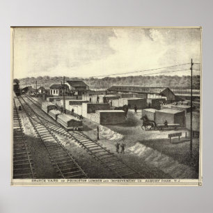 Branch yard, Princeton Lumber & Improvement Co Poster