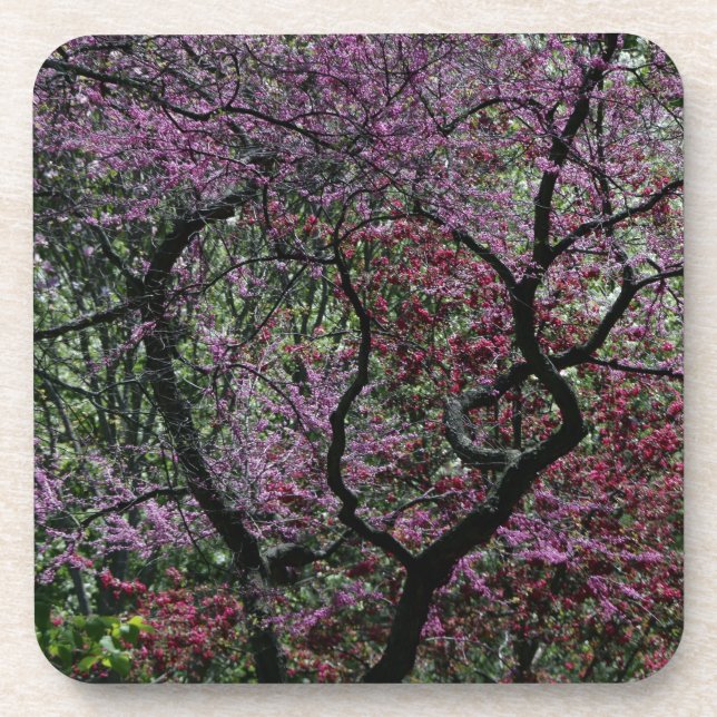 Branches and Blossoms Coaster (Front)