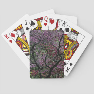 Branches and Blossoms Playing Cards