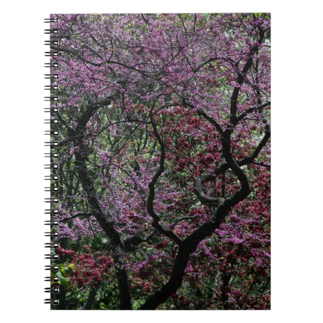 Branches and Blossoms Spiral Notebook (Front)