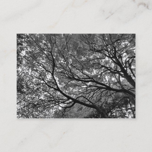 Branches and Leaves Business Card (Front)
