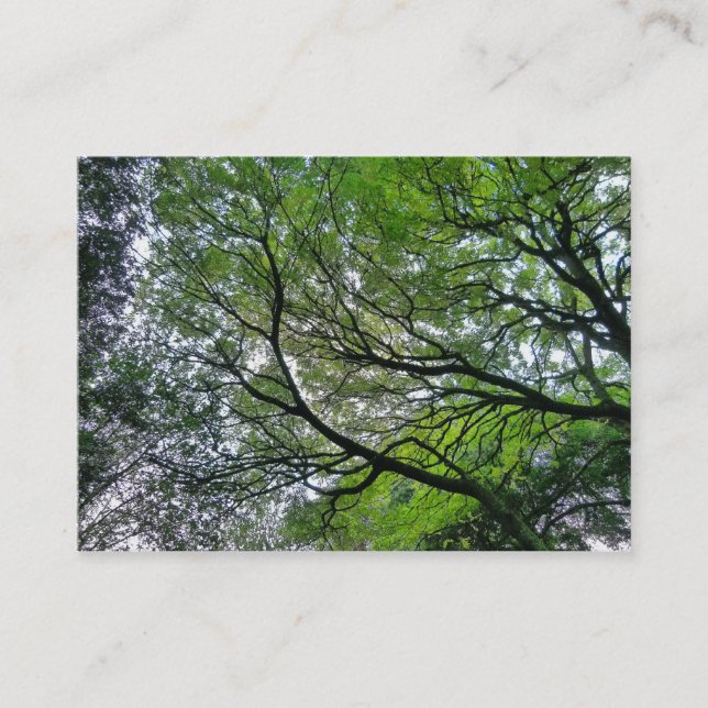 Branches and Leaves Business Card (Front)