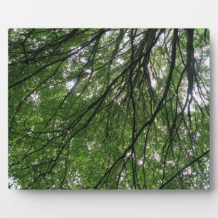 Branches and Leaves Plaque
