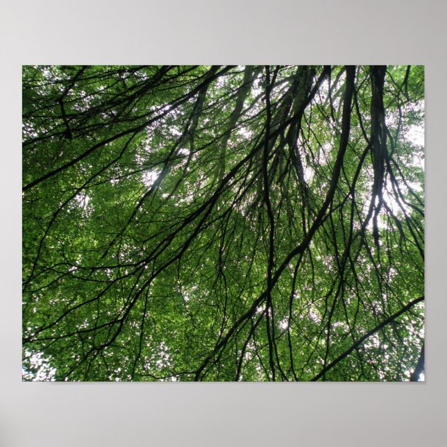 Branches and Leaves Print (Front)