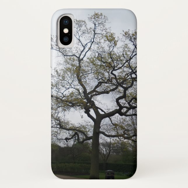 Branches Apple iPhone X, Barely There PhoneCase Case-Mate iPhone Case (Back)