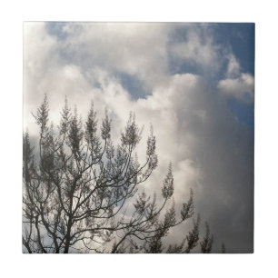 Branches in the Clouds Tile