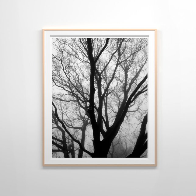 Branches in the Fog Photography Poster (Creator Uploaded)