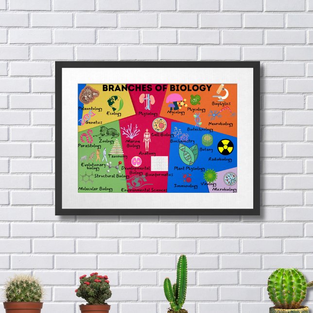 Branches of biology poster (Creator Uploaded)