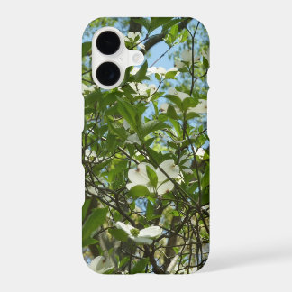 Branches of Dogwood Blossoms Spring Trees