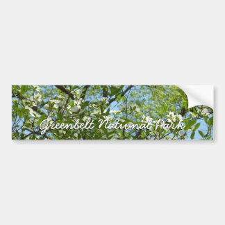 Branches of Dogwood Blossoms Spring Trees Bumper Sticker