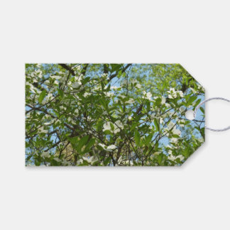 Branches of Dogwood Blossoms Spring Trees Gift Tags