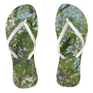 Branches of Dogwood Blossoms Spring Trees Jandals