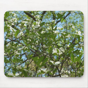 Branches of Dogwood Blossoms Spring Trees Mouse Pad