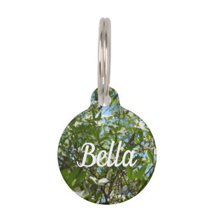 Branches of Dogwood Blossoms Spring Trees Pet Tag