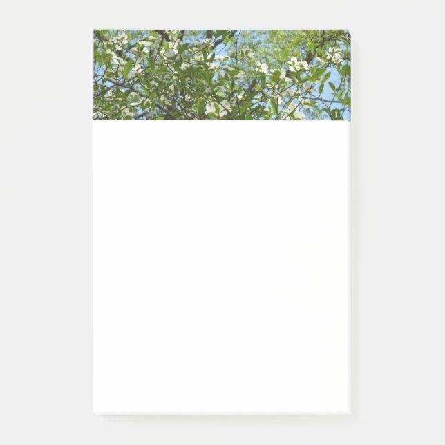 Branches of Dogwood Blossoms Spring Trees Post-it Notes (Front)
