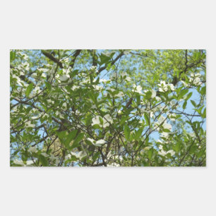 Branches of Dogwood Blossoms Spring Trees Rectangular Sticker
