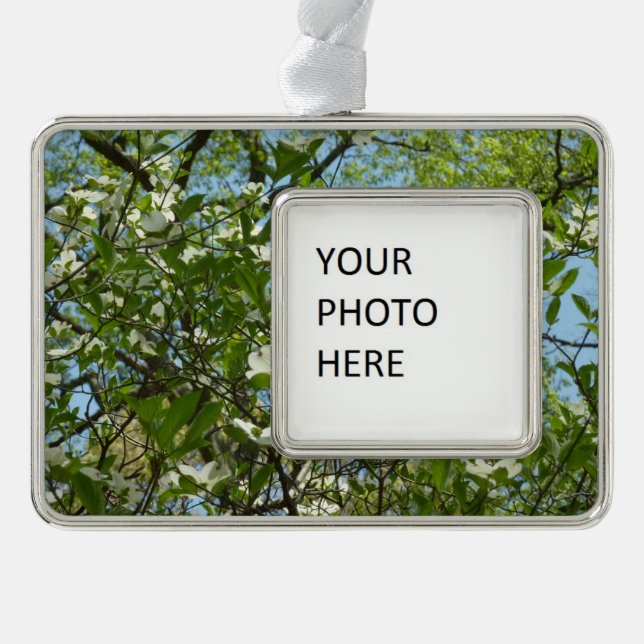Branches of Dogwood Blossoms Spring Trees Silver Plated Framed Ornament (Front)
