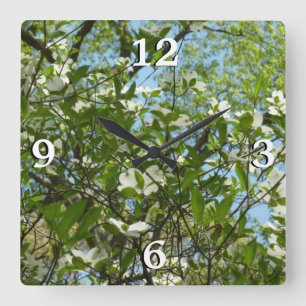 Branches of Dogwood Blossoms Spring Trees Square Wall Clock