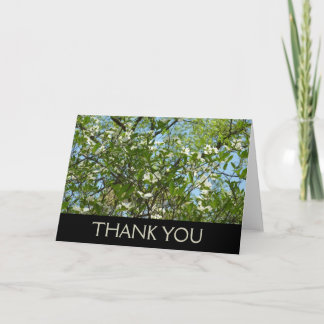 Branches of Dogwood Blossoms Spring Trees Thank You Card
