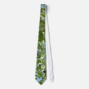 Branches of Dogwood Blossoms Spring Trees Tie