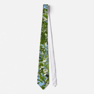 Branches of Dogwood Blossoms Spring Trees Tie