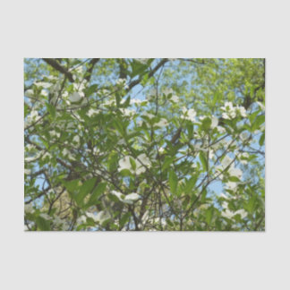 Branches of Dogwood Blossoms Spring Trees Tissue Paper