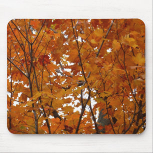 Branches of Maple Leaves I Orange Autumn Mouse Pad