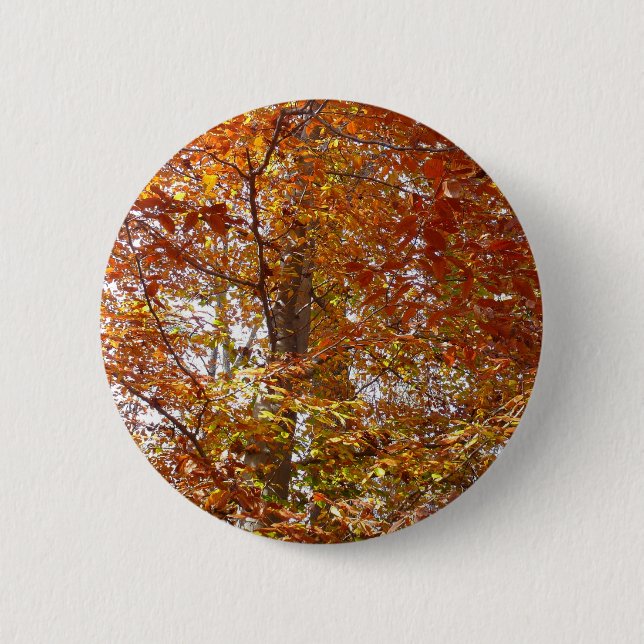 Branches of Orange Leaves Autumn Nature 6 Cm Round Badge (Front)