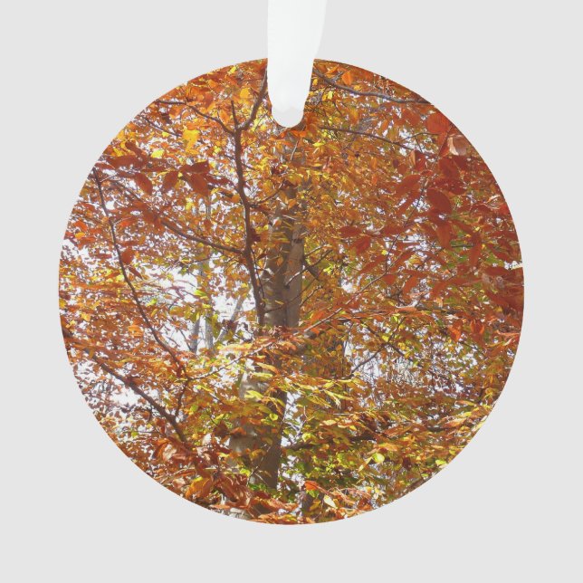 Branches of Orange Leaves Autumn Nature Ornament (Front)