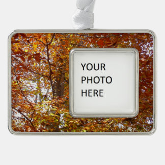 Branches of Orange Leaves Autumn Nature Silver Plated Framed Ornament