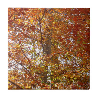Branches of Orange Leaves Autumn Nature Tile