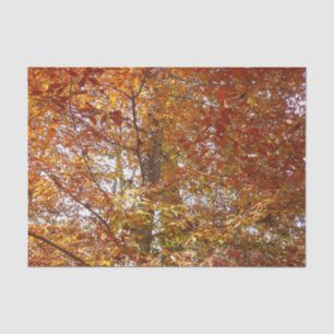 Branches of Orange Leaves Autumn Nature Tissue Paper