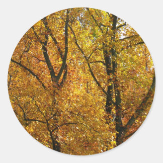 Branches of Yellow Leaves Bright Autumn Colourful Classic Round Sticker