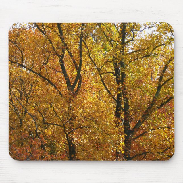 Branches of Yellow Leaves Bright Autumn Colourful Mouse Pad (Front)