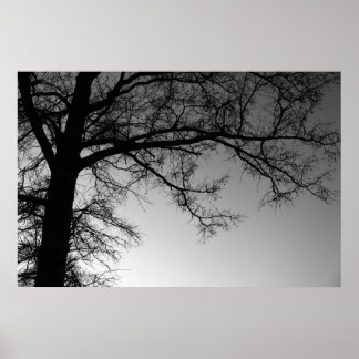 Branches Poster