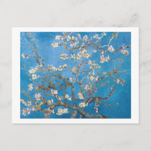 Branches with Almond Blossom Van Gogh Postcard